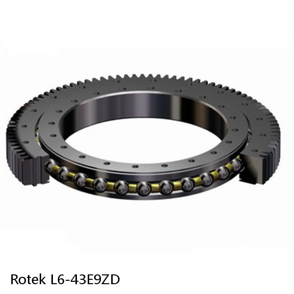 L6-43E9ZD Rotek Slewing Ring Bearings