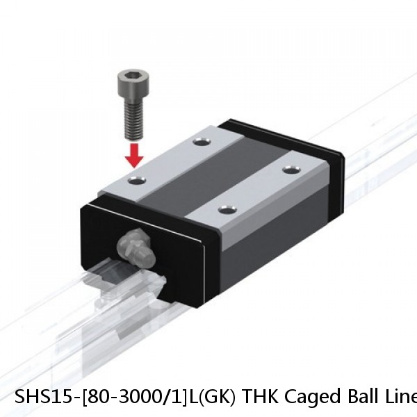 SHS15-[80-3000/1]L(GK) THK Caged Ball Linear Guide Rail Only Standard Grade Interchangeable SHS Series