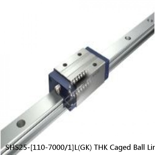 SHS25-[110-7000/1]L(GK) THK Caged Ball Linear Guide Rail Only Standard Grade Interchangeable SHS Series