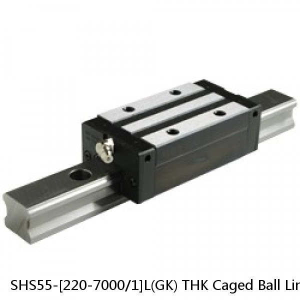 SHS55-[220-7000/1]L(GK) THK Caged Ball Linear Guide Rail Only Standard Grade Interchangeable SHS Series