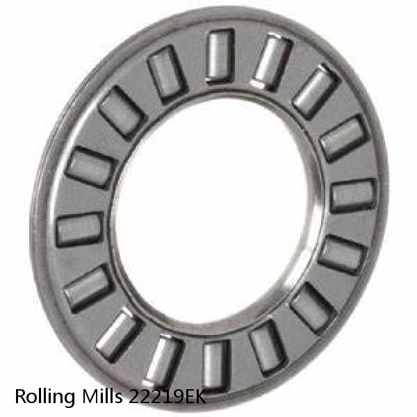 22219EK Rolling Mills Spherical roller bearings