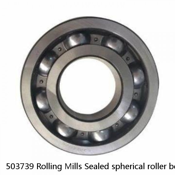 503739 Rolling Mills Sealed spherical roller bearings continuous casting plants