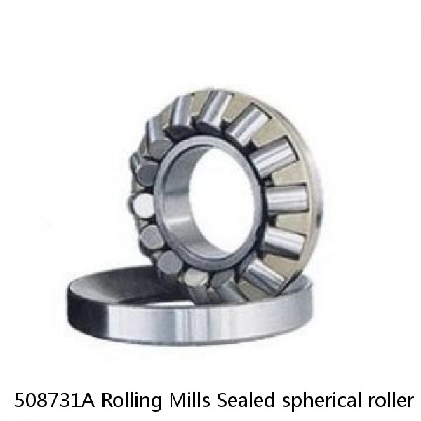 508731A Rolling Mills Sealed spherical roller bearings continuous casting plants