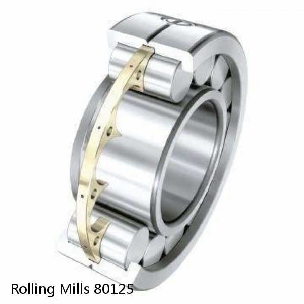 80125 Rolling Mills Sealed spherical roller bearings continuous casting plants