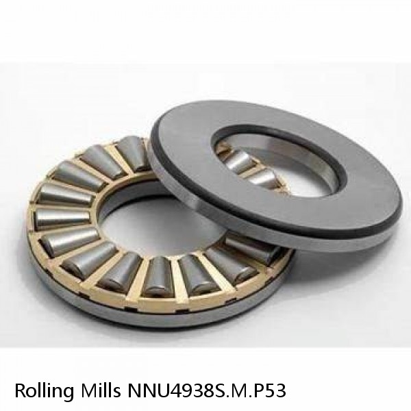 NNU4938S.M.P53 Rolling Mills Sealed spherical roller bearings continuous casting plants