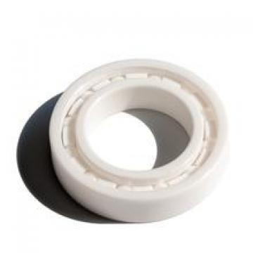 50*110*27mm Zirconia deep groove ball bearing 50x110x27 mm ZrO2 full Ceramic bearing 6310