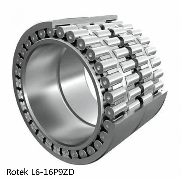 L6-16P9ZD Rotek Slewing Ring Bearings