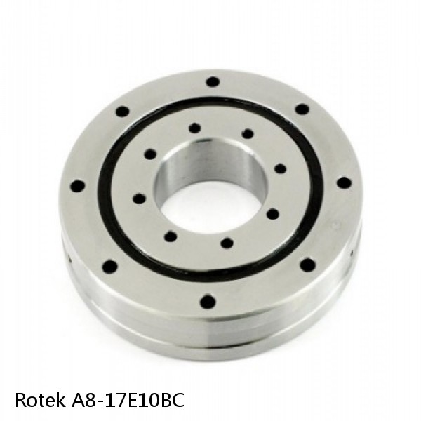 A8-17E10BC Rotek Slewing Ring Bearings
