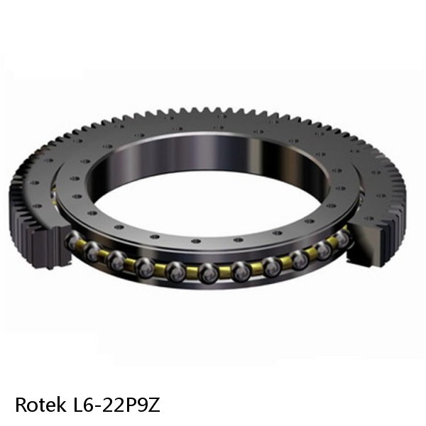 L6-22P9Z Rotek Slewing Ring Bearings