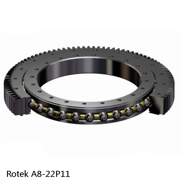 A8-22P11 Rotek Slewing Ring Bearings
