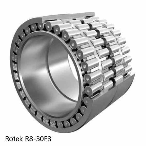 R8-30E3 Rotek Slewing Ring Bearings