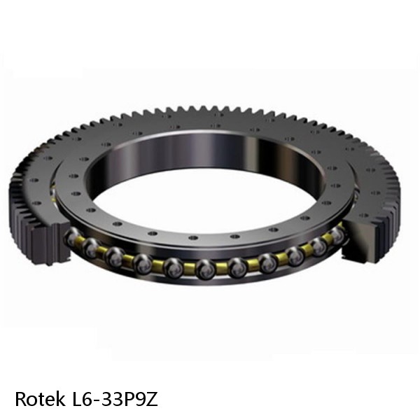 L6-33P9Z Rotek Slewing Ring Bearings