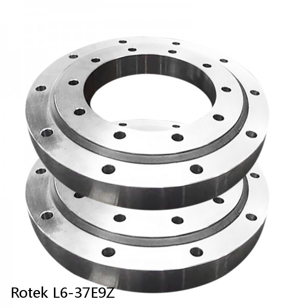 L6-37E9Z Rotek Slewing Ring Bearings