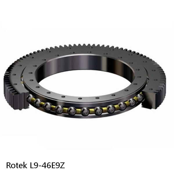 L9-46E9Z Rotek Slewing Ring Bearings