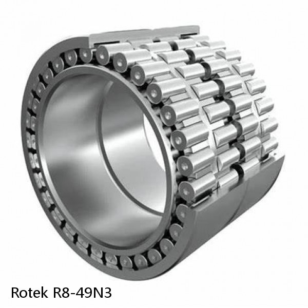 R8-49N3 Rotek Slewing Ring Bearings