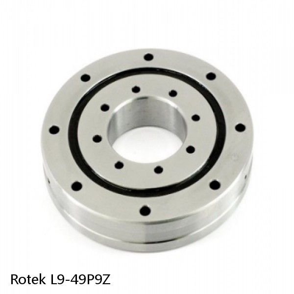 L9-49P9Z Rotek Slewing Ring Bearings