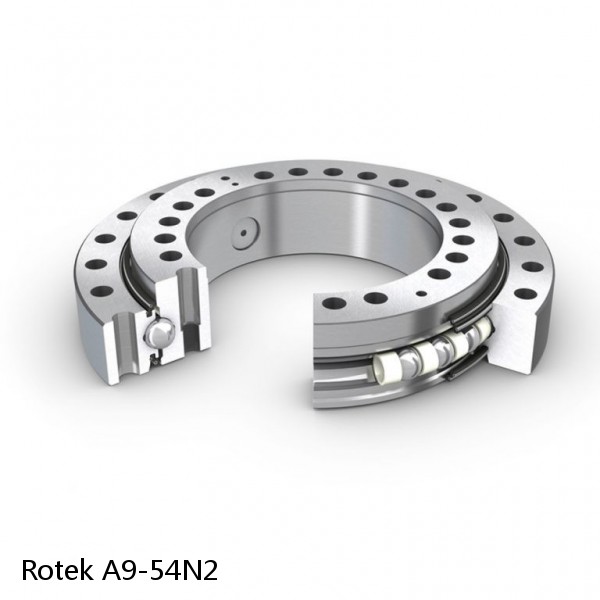 A9-54N2 Rotek Slewing Ring Bearings