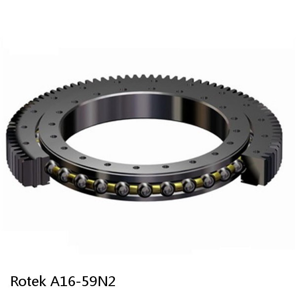 A16-59N2 Rotek Slewing Ring Bearings