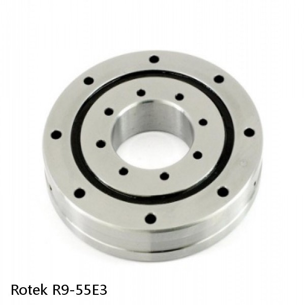 R9-55E3 Rotek Slewing Ring Bearings