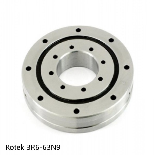 3R6-63N9 Rotek Slewing Ring Bearings