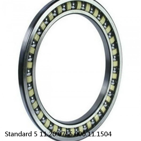 11.20.0755.000.11.1504 Standard 5 Slewing Ring Bearings