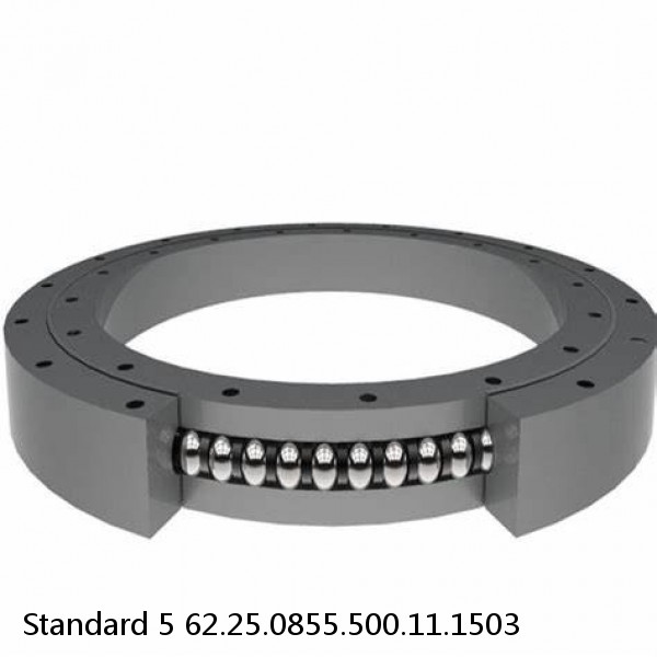 62.25.0855.500.11.1503 Standard 5 Slewing Ring Bearings
