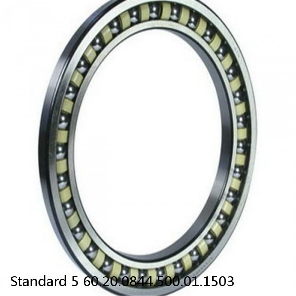 60.20.0844.500.01.1503 Standard 5 Slewing Ring Bearings