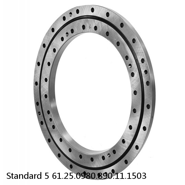 61.25.0980.890.11.1503 Standard 5 Slewing Ring Bearings