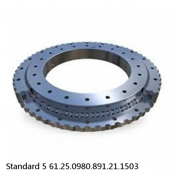 61.25.0980.891.21.1503 Standard 5 Slewing Ring Bearings