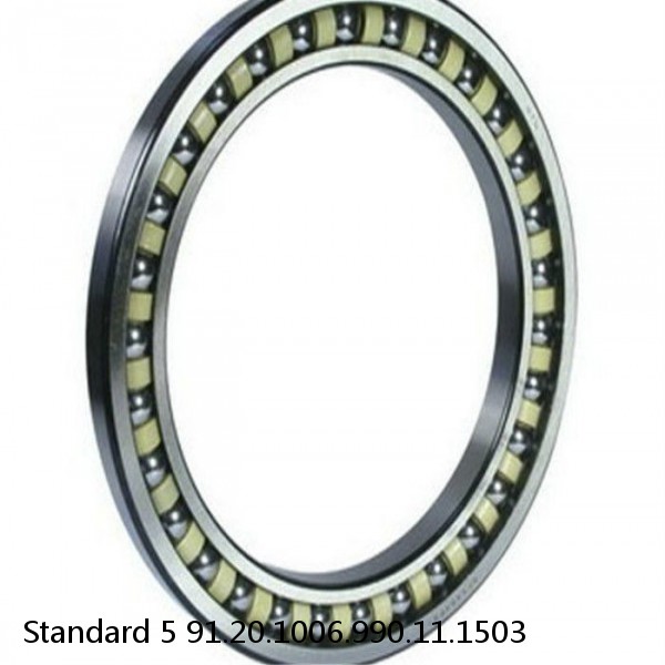 91.20.1006.990.11.1503 Standard 5 Slewing Ring Bearings