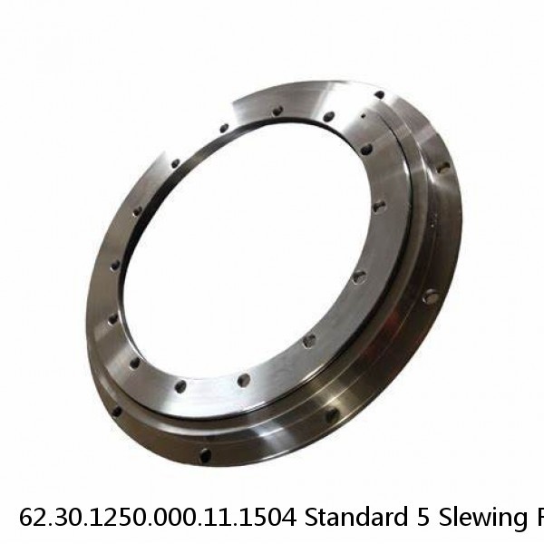 62.30.1250.000.11.1504 Standard 5 Slewing Ring Bearings