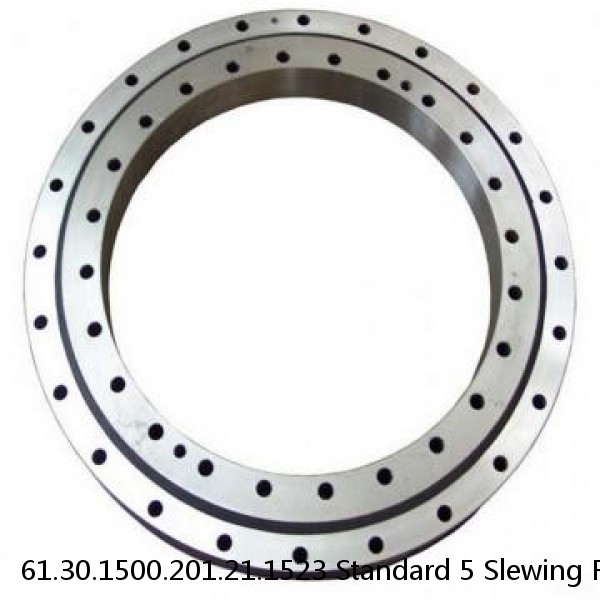 61.30.1500.201.21.1523 Standard 5 Slewing Ring Bearings