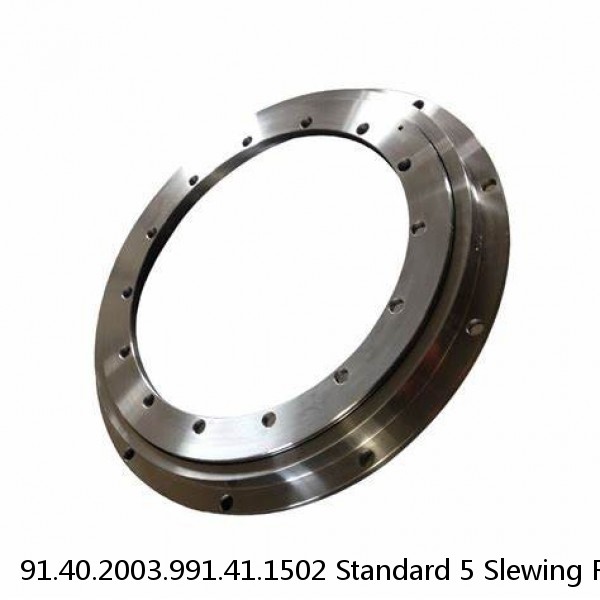 91.40.2003.991.41.1502 Standard 5 Slewing Ring Bearings