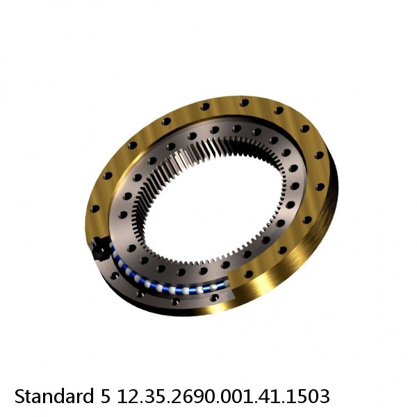 12.35.2690.001.41.1503 Standard 5 Slewing Ring Bearings