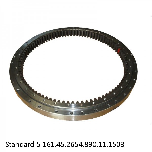 161.45.2654.890.11.1503 Standard 5 Slewing Ring Bearings