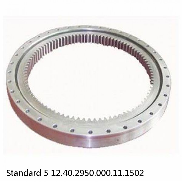 12.40.2950.000.11.1502 Standard 5 Slewing Ring Bearings