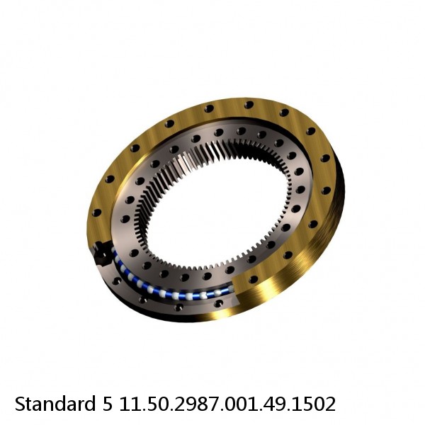 11.50.2987.001.49.1502 Standard 5 Slewing Ring Bearings