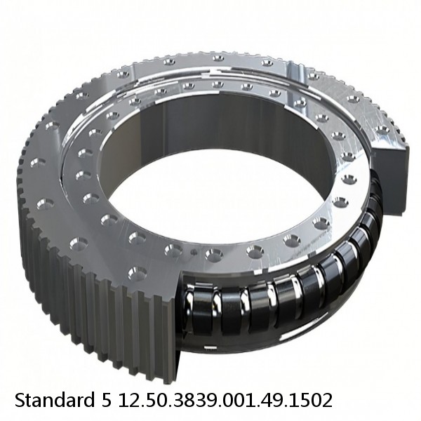 12.50.3839.001.49.1502 Standard 5 Slewing Ring Bearings