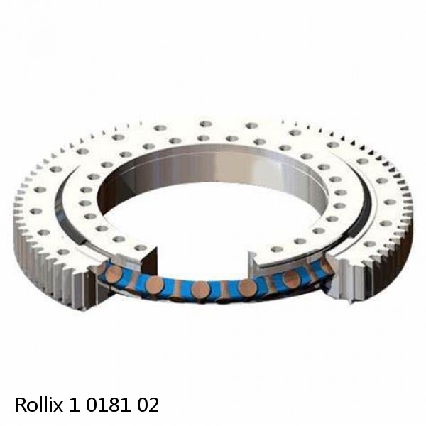 1 0181 02 Rollix Slewing Ring Bearings