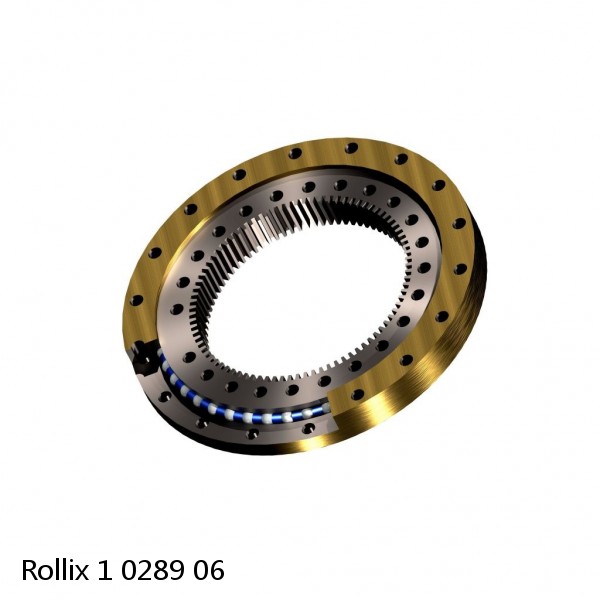 1 0289 06 Rollix Slewing Ring Bearings