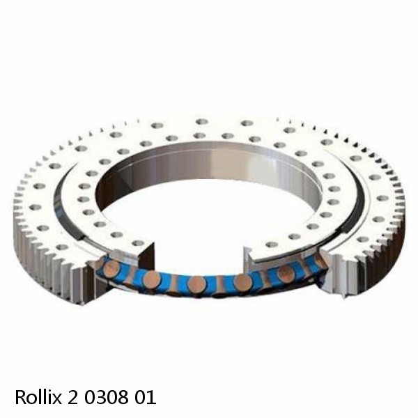 2 0308 01 Rollix Slewing Ring Bearings