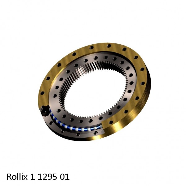 1 1295 01 Rollix Slewing Ring Bearings