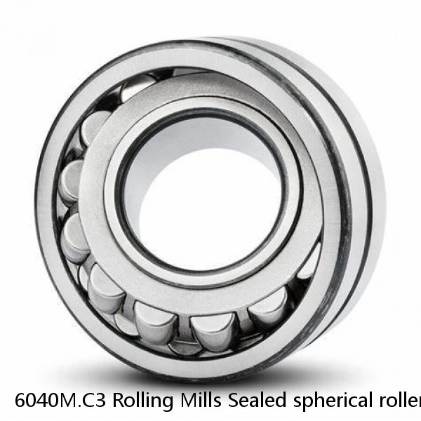 6040M.C3 Rolling Mills Sealed spherical roller bearings continuous casting plants